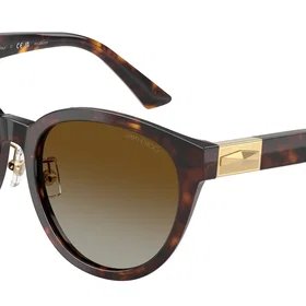 Jimmy Choo JC5032D Polarisé
