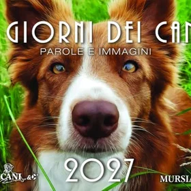 Mursia Hundar Bordkalender 2027