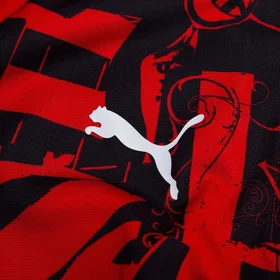 Puma Milan Pre Match Träningströja (Herr)