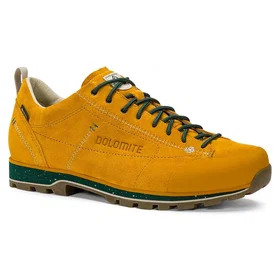 Dolomite 54 Low Evo GTX (Men's)