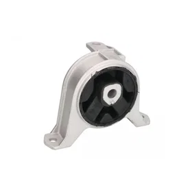 REINHOCH RH11-5008 Bakre Fjæringsbuffere