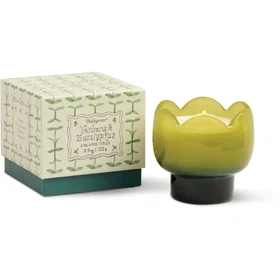 Paddywax Tulip Verbena & Lemongrass Tuoksukynttilä 155g