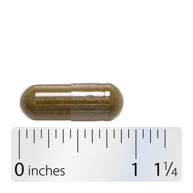 Nature's Way Horsetail Grass 440mg 100 Capsules