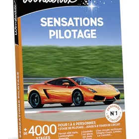 Wonderbox Sensations Pilotage