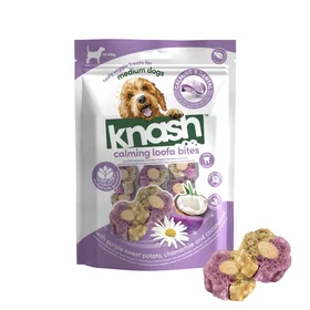 Knash WL Bites Cookies Pumpa/Ingefära 100gr