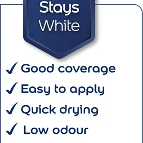 Dulux Silk Paint Pure Brilliant White 10L