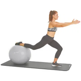 Schildkröt Fitness Kuntosypallo 75cm