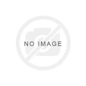 Soudal Mastic Silicone Silirub+ S8100 Transparent 300ml