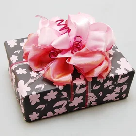 Morex Bowdabra Bow Grey