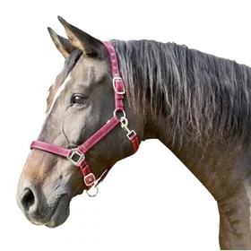 Foga Mustang Halter Red/Black 1