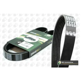 BGA 6PK2196 Ceinture