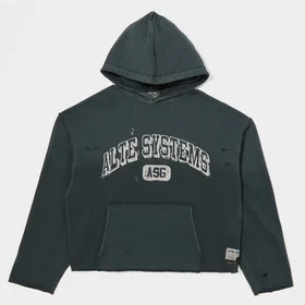 Alte Systems Analog Hoodie (Men's)