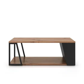 Temahome Table basse