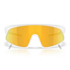 Oakley RSLV 141 Prizm