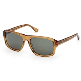 Web Eyewear WE0393