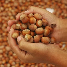 Pisti Sicilian Hazelnut Cream 200g