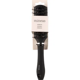 Mineas Hairbrush Hollow