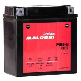 Malossi Af1 Europa 12V Gel Battery