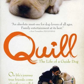 Quill DVD+R 4,7GB 16x 25-pakning Spindel