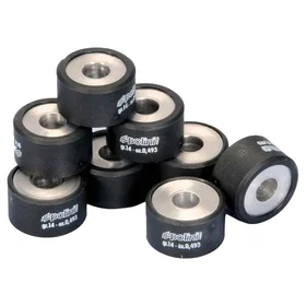 Polini 242222 Variator Rollers Silver 25x15 / 16.2g