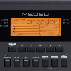 Medeli MK200