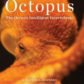 Coloring Book Octopus : A Fun and Relaxing Octopus for Adults & Octopus gifts for Octopus lovers