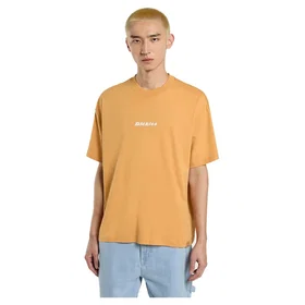 Dickies Kortärmad T-shirt (Herr)