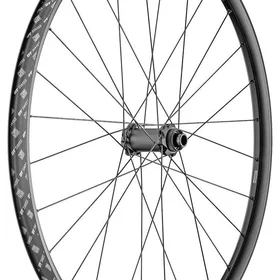 DT Swiss H 1900 Sp 29´´ Is 30 Mtb Front Wheel 15 x 110 mm