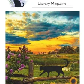 Belladonna's Litteraturmagasin