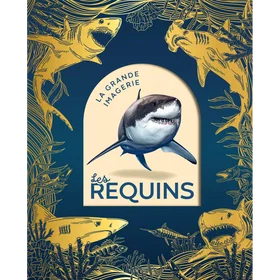 Coloring Book Mon livre de coloriage sur les Requins: Coloriages d'animaux, de paysages et de personnages, enfants de 2 à 6 ans