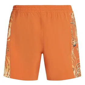 O'Neill O'riginals Side Panel Badshorts (Herr)