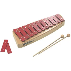 Sonor NG 10