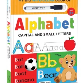 Prakash Wipe And Clean Book of Alphabet Capital And Small Letters