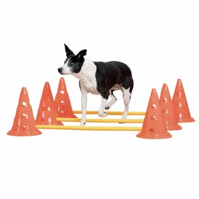 Pawise Agility Training Set 30Cm