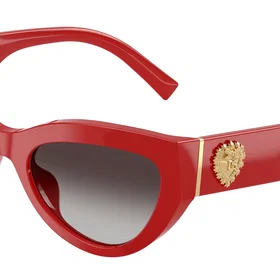 Dolce & Gabbana DG4536