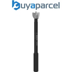 Bosch 2608901821 Expert Foret plat 10mm