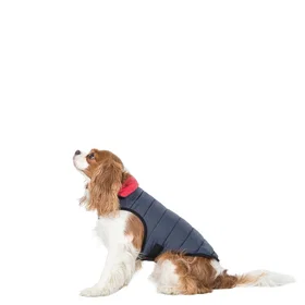 Kimmie Kimmi X Dog Jacket