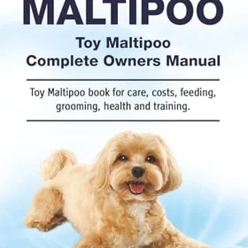 Zoodoo Publishing Toy Maltipoo