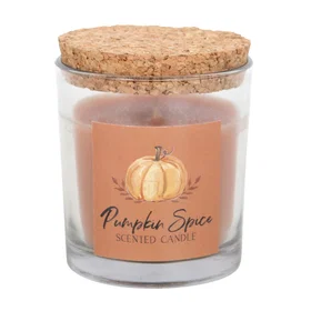 Something Pumpkin Spice Scented Candle Large