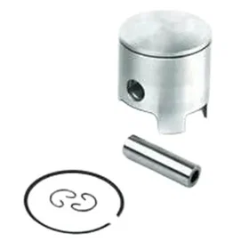 Airsal 06131448 Piston