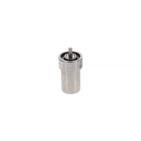 Bosch Spray Nozzle 0 434 250 077