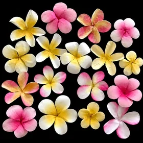 Marianne Design Blomsterformningsset