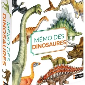 Mémo des dinosaures Broché