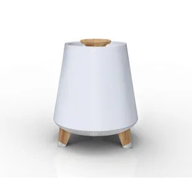 Akai AKBT80 Portable Bluetooth Speaker