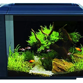 Fluval Spec XV 60L Akvarium