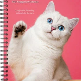 What Katter Lærer Oss Engasjementskalender 2027