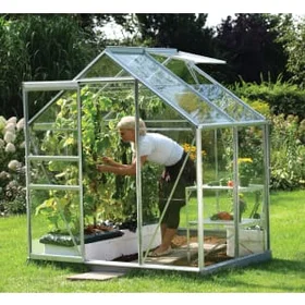 Vitavia Venus Toughened Glass Greenhouse 6x4ft