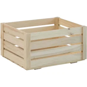 Astigarraga Boîte de Rangement Pin Moyenne