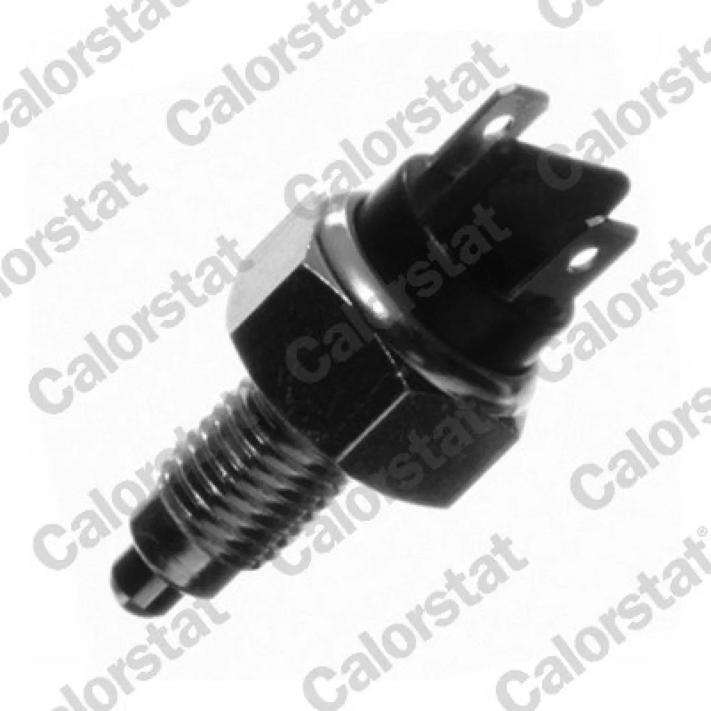 CALORSTAT by Vernet RS5520