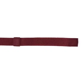 51 Degrees North Wanderful Bungee Leash